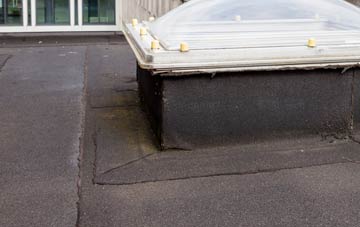 disadvantages of Ballydrain flat roofs