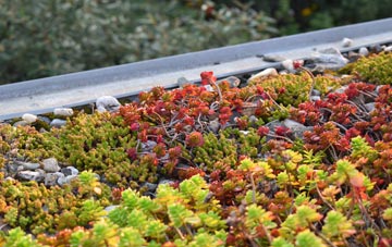 the cost of Ballydrain green roof installation