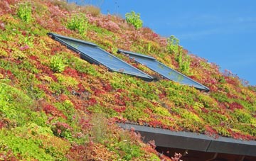 Ballydrain living roof systems