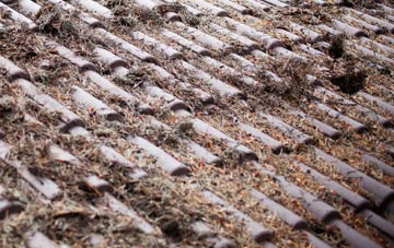 Ballydrain roof cleaning companies